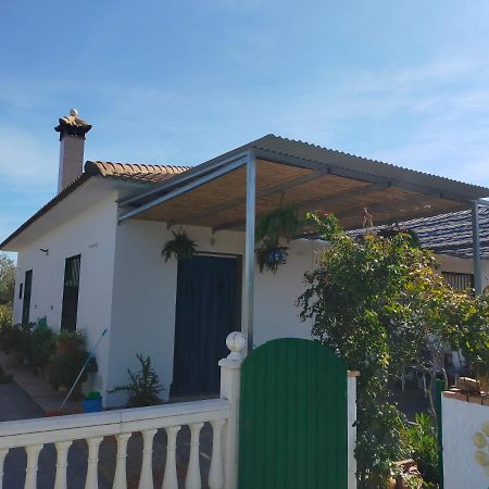 Alojamiento Rural La Perdiz لا بويبلا دي لوس إينفانتيس المظهر الخارجي الصورة