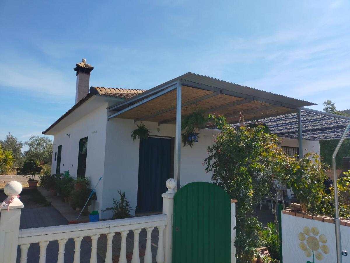 Alojamiento Rural La Perdiz لا بويبلا دي لوس إينفانتيس المظهر الخارجي الصورة