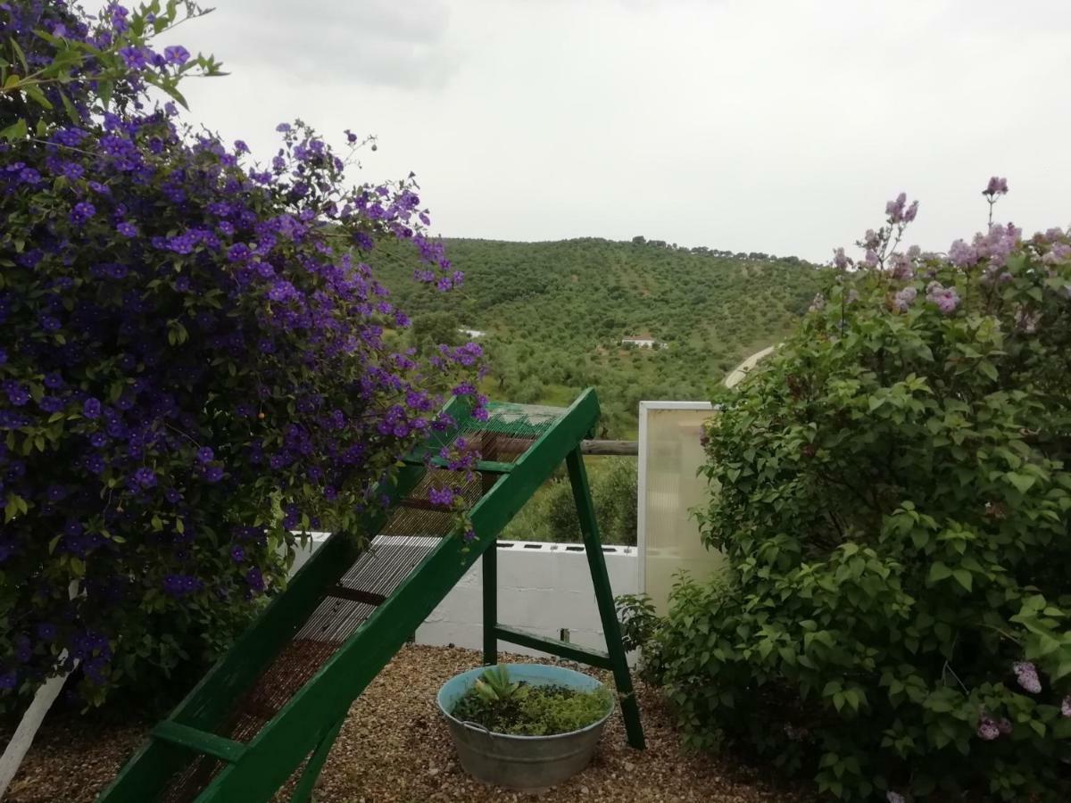 Alojamiento Rural La Perdiz لا بويبلا دي لوس إينفانتيس المظهر الخارجي الصورة
